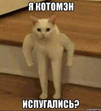 я котомэн испугались?