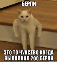 берпи это то чувство когда выполнил 200 берпи