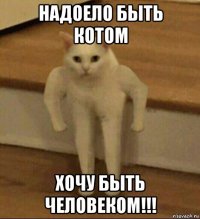 надоело быть котом хочу быть человеком!!!