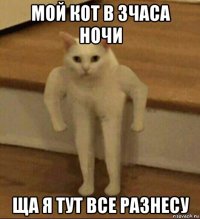 мой кот в 3часа ночи ща я тут все разнесу