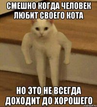 смешно когда человек любит своего кота но это не всегда доходит до хорошего