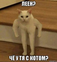 леен? чё у тя с котом?