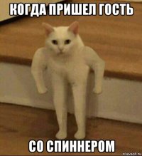 когда пришел гость со спиннером