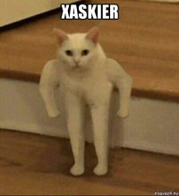 xaskier 