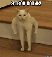 я твой котик! 