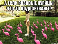 а если розовые курицы что-то подозревают? 