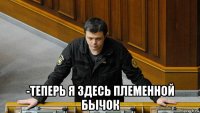  -теперь я здесь племенной бычок