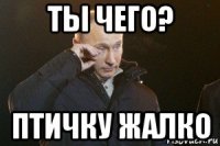 ты чего? птичку жалко