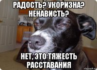 радость? укоризна? ненависть? нет, это тяжесть расставания