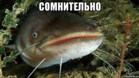 сомнительно 