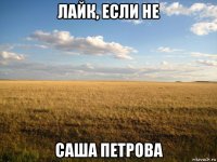 лайк, если не саша петрова