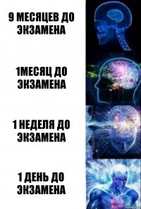 9 месяцев до экзамена 1Месяц до экзамена 1 неделя до экзамена 1 день до экзамена