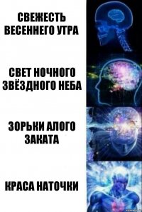 Свежесть весеннего утра Свет ночного звёздного неба Зорьки алого заката Краса Наточки