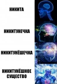 Никита Никитунечка Никитунёшечка Никитунёшное существо