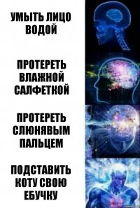 Умыть лицо водой Протереть влажной салфеткой Протереть слюнявым пальцем ПОдставить коту свою ебучку