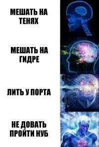 Мешать на тенях Мешать на гидре Лить у порта Не довать пройти нуб