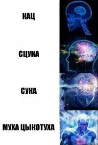 Кац СЦУКА сука Муха Цыкотуха