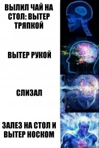 Вылил чай на стол: вытер тряпкой Вытер рукой Слизал Залез на стол и вытер носком