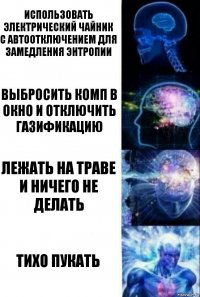 Использовать электрический чайник с автоотключением для замедления энтропии выбросить комп в окно и отключить газификацию лежать на траве и ничего не делать тихо пукать