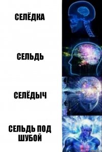 селёдка сельдь селёдыч Сельдь под шубой