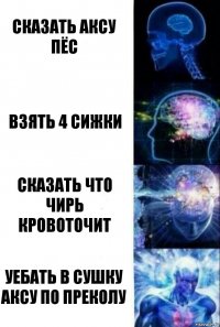 СКАЗАТЬ АКСУ ПЁС ВЗЯТЬ 4 СИЖКИ СКАЗАТЬ ЧТО ЧИРЬ КРОВОТОЧИТ УЕБАТЬ В СУШКУ АКСУ ПО ПРЕКОЛУ