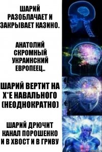 Шарий разоблачает и закрывает казино. Анатолий скромный Украинский Европеец.. Шарий вертит на х*е Навального (неоднократно) Шарий дрючит канал Порошенко и в хвост и в гриву