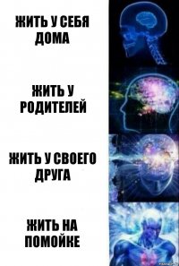 Жить у себя дома Жить у родителей Жить у своего друга Жить на помойке