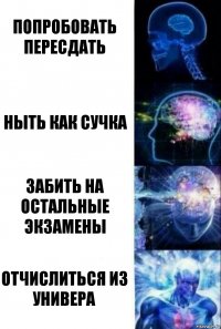 попробовать пересдать ныть как сучка забить на остальные экзамены отчислиться из универа