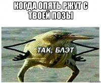 когда опять ржут с твоей позы 