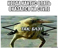 когда кактус опять оказался на стуле 