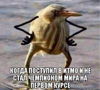  когда поступил в итмо и не стал чемпионом мира на первом курсе