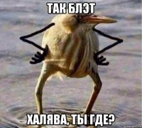 так блэт халява, ты где?