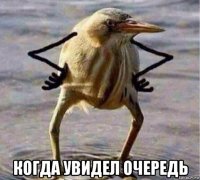  когда увидел очередь