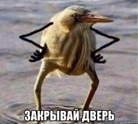  закрывай дверь