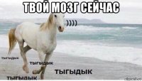 твой мозг сейчас 