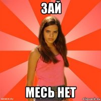 зай месь нет