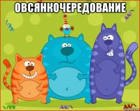 овсянкочередование 
