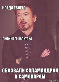 Когда твоего Любимого капитана   Обозвали Саламандрой и Самоваром  