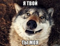 я твой ты моя
