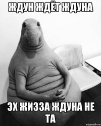 ждун ждёт ждуна эх жизза ждуна не та