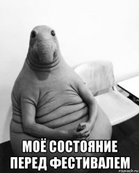  моё состояние перед фестивалем