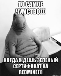 то самое чумство))) когда ждешь зеленый сертификат на redmine)))