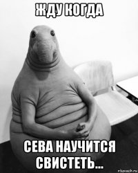 жду когда сева научится свистеть...