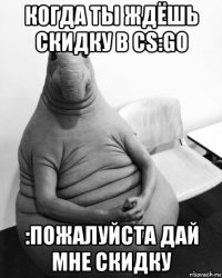 когда ты ждёшь скидку в cs:go :пожалуйста дай мне скидку