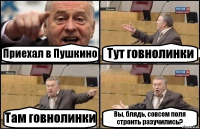 Приехал в Пушкино Тут говнолинки Там говнолинки Вы, блядь, совсем поля строить разучились?