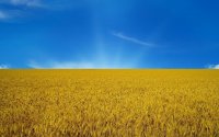 Создать мем Цуруфоу