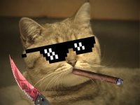 Создать мем Кото Глобал