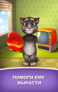 Создать мем Мой говорящий кот Том