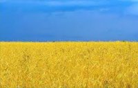 Создать мем Небо пшэница украина