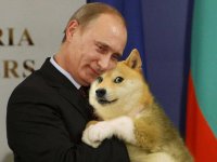 Создать мем Путин и SAD DOGE обнимаются